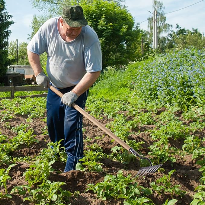 Teeth Carbon Steel Garden Weeding